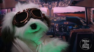 ASMR Parody Roleplay  Aviator Dog Gets You Ready to Fly [upl. by Ydospahr]