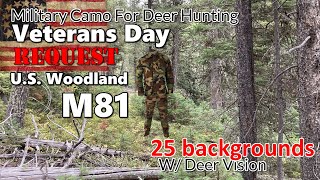 Veterans Day Request US Woodland M81 Camo used as hunting camo on 24 Backgrounds with Deer Vision [upl. by Eusadnilem]