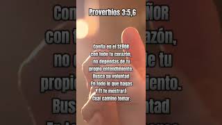 Proverbios 356 fé biblia [upl. by Assiron525]