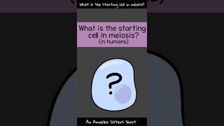 Starting Cell in Meiosis  Amoeba Sisters Shorts [upl. by Nilyak]