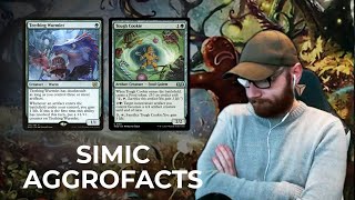 SIMIC AGGROFACTS Ixalan Standard Deck [upl. by Akemet969]