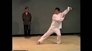 Tai Chi 24 Position Set Position 16 amp 17 Push Down Stand on One Leg [upl. by Walli]