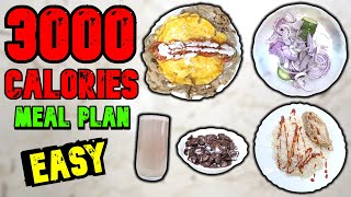 The EASIEST Way To Eat 3000 Calories In A Day To Gain Weight amp Build Muscle [upl. by Myk]