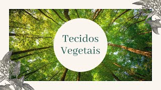 Os Tecidos Vegetais [upl. by Dasa]