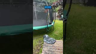 Cats caught on trampoline 😂 [upl. by Dulcie123]