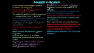 114P Anaplasia vs Dysplasia [upl. by Fretwell]