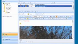 Efficient Diary demonstration [upl. by Retrop]