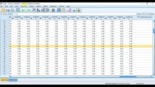 SPSS Tablolarından Sadece Birini APA Formatına Dönüştürme [upl. by Boigie]