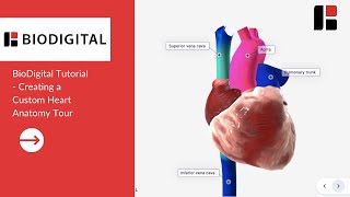 BioDigital Tutorial  Creating a Custom Heart Anatomy Tour [upl. by Einial]