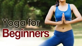 The Various Yoga Asanas For Beginners  Yoga For Beginners [upl. by Llertal520]