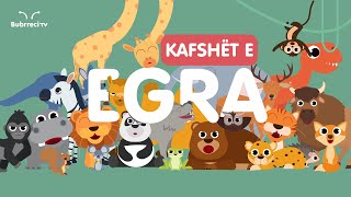 🐘 Kafshët e Egra për Fëmijë 🦧 Këngë Shqip për Fëmijë 🦁 Bubrreci TV kafshët kengeperfemije [upl. by Eittam]