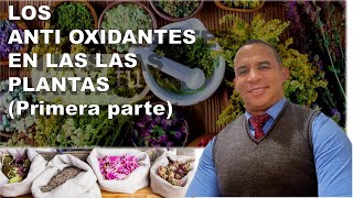 LOS ANTIOXIDANTES EN LAS PLANTAS PRIMERA PARTE [upl. by Gnel]