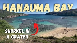 Hanauma Bay Adventure  Luckiest Day Ever Snorkeling at Hanauma Bay [upl. by Jarek352]