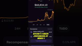 Bitcoin Ainda vale a pena Investir [upl. by Hime]