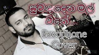 Suwanda Dena Mal WaneSaxophone Coverinstrumentalsrilankans song 2021 [upl. by Aggi]