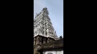 Anandavalli Temple  Padmanabhapuram [upl. by Shaum]