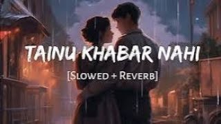 tainu khabar nahi slowed and reverb song  best song [upl. by Aneehc]