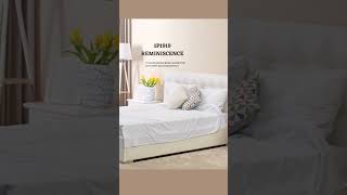 Top 5 Berger paints off white shade bergerpaints livingroomcolors bedroomcolourcombination [upl. by Brigham64]