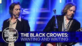 The Black Crowes Wanting and Waiting  The Tonight Show Starring Jimmy Fallon [upl. by Nnailuj]