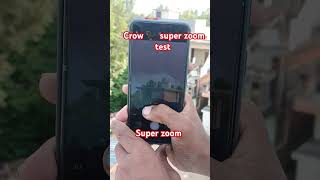 Crow 🐦‍⬛ super zoom test 😈😈viralvideo vlogviral treanding trend superzoom [upl. by Nathanoj]