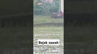 Bajak sawah [upl. by Nairot569]