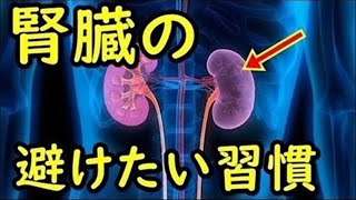 腎臓のために避けておきたい習慣がコレ！腎臓の働きに良い食べ物以外に知りたいこととは？ [upl. by Enirehtakyram]