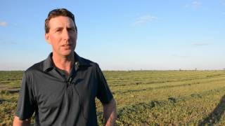 Managing herbicideresistant ryegrass with IWM  Louis Koch [upl. by Karlise657]