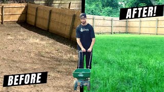 How to Grow a Lawn From Scratch DIY Guide  Lessons Learned [upl. by Alvera]