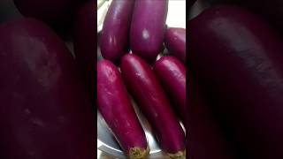 Baingan ki sabji  simple recipe  short video [upl. by Leinad]