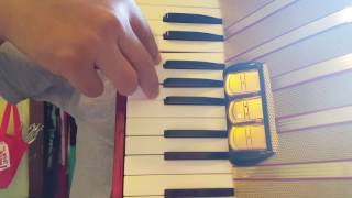 Cumbia gabacha alberto pedraza acordeon hohner teclado [upl. by Enaasiali247]