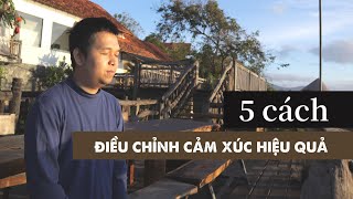 5 cách rất hay để điều chỉnh cảm xúc I Trí tuệ cảm xúc I Tập 8 [upl. by Ariajay]