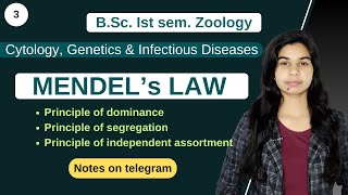 Cytology Genetics amp Infectious Diseases  MENDEL’s LAW  हिंदी में  Zoology [upl. by Nyrehtak]