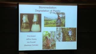 PlasticEating Fungi and Other Wonders Discovered by Yale Undergraduates [upl. by Olson119]