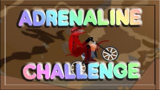 ADRENALINE CHALLENGE [upl. by Vyky]