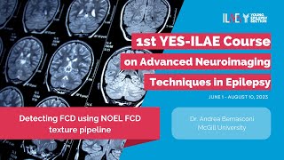 7th Lecture Using the NOEL texture pipeline in neocortical epilepsy [upl. by Nnail]