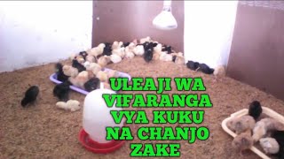 Uleaji wa Vifaranga vya Kuku na Chanjo Zake [upl. by Adnohrahs]