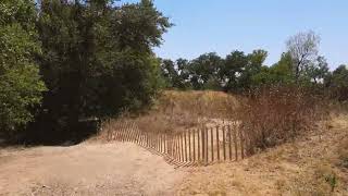 Live Oak Brewing  Disc Golf Course Preview [upl. by Kaitlynn]