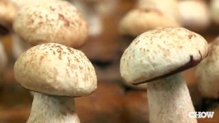 How to Make Meringue Mushrooms  CHOW Tip [upl. by Anahsahs]