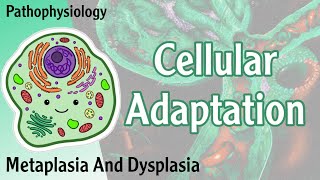 Pathophysiology  Cellular Adaptation  Metaplasia Dysplasia  Hani Laith شرح [upl. by Petronia]