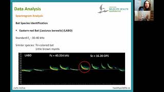 Spectrogram analysis [upl. by Ateuqal]