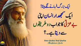 Wise Mans Clever Response to Disrespect  Bano Qudsia Best Life Quotes  Relationship Quotes [upl. by Darla401]