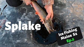 Splake  Ice Fishing Maine 2021 Ep2 [upl. by Schlicher]