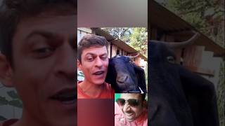 Shahrukh khan ka new face viral hua hai shortvideo viral viralworld [upl. by Lim]