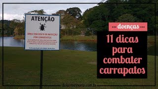 11 DICAS PARA COMBATER CARRAPATOS  Divã Veterinário [upl. by Lamb]