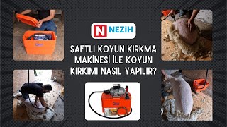 Nezih Şaftlı Koyun Kırkma Makinesi İle Koyun Kırkımı Nasıl Yapılır [upl. by Azarria840]