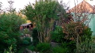 Dawn at Bealtaine Cottage Permaculture Smallholding Ireland [upl. by Lemieux13]