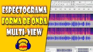 Espectrograma Forma de Onda e Multiview no Audacity [upl. by Indihar]