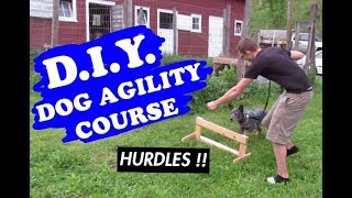 BUILT OUR OWN DOG AGILITY COURSE  AUSTRALIAN CATTLE DOG [upl. by Rehm]