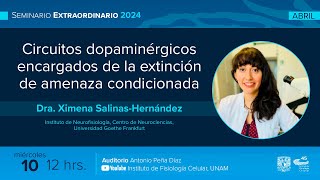 Circuitos dopaminérgicos encargados de la extinción de amenaza condicionada [upl. by Nomzzaj]