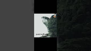 sri lanka 🇱🇰  short video  pathum vlogs😍 [upl. by Pincince]